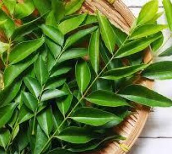 Dried Curry Leaves (Murraya koenigii)