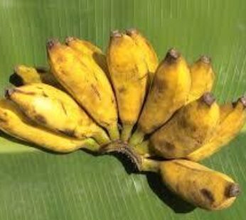 Dried Banana