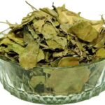 Dried Gurmar Leaves 2