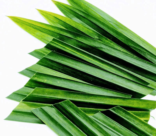 Dried Pandanus Leaves