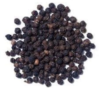 Black Pepper (Piper nigrum)