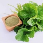 Dried Gotukola Powder (Centella asiatica)