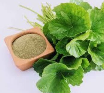 Dried Gotukola Powder (Centella asiatica)