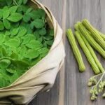 Moringa Leaves Powder