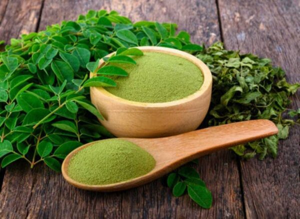 Moringa Leaves Powder (Moringa oleifera)