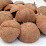 Natural Coconut Shells (6 Pack)